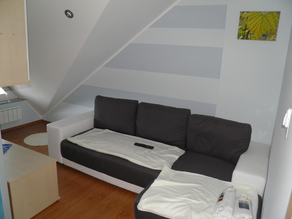 Guesthouse Prenocisca Sirec プトゥイ 部屋 写真