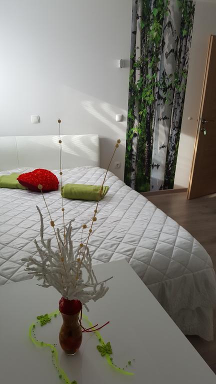 Guesthouse Prenocisca Sirec プトゥイ エクステリア 写真
