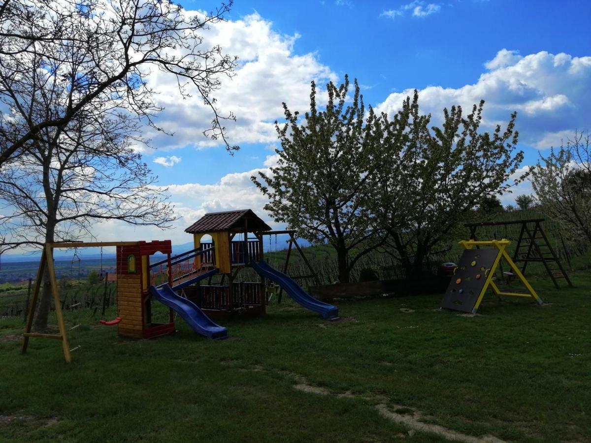Guesthouse Prenocisca Sirec プトゥイ エクステリア 写真